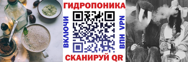 Купить закладки  Прохладный  Cannafood конопля 