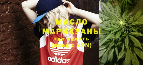 индика Ижевск